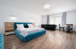 Pensiune modernă de vânzare în Voroneț – 8 camere, construită în 2023