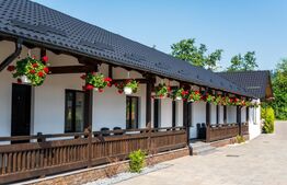 Pensiune modernă de vânzare în Voroneț – 8 camere, construită în 2023