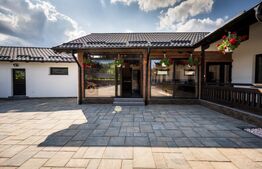 Pensiune modernă de vânzare în Voroneț – 8 camere, construită în 2023