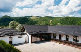 Pensiune modernă de vânzare în Voroneț – 8 camere, construită în 2023