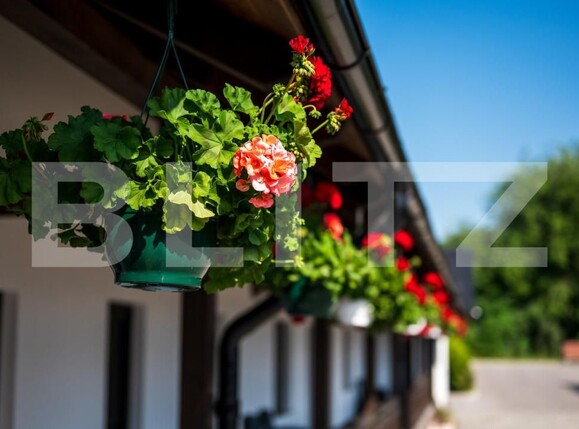 Spațiu comercial de vânzare Exterior Vest - 158941SVC | BLITZ Suceava | Poza17