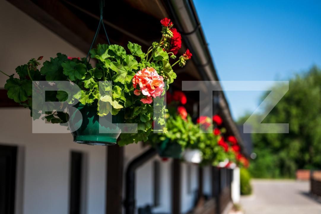 Spațiu comercial de vânzare Exterior Vest - 158941SVC | BLITZ Suceava | Poza17