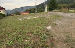 Teren de vânzare în Bucșoaia, oraș Frasin – 3225 mp