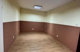 Spatiu comercial,  ultracentral , Radauti!