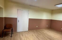 Spatiu comercial,  ultracentral , Radauti!