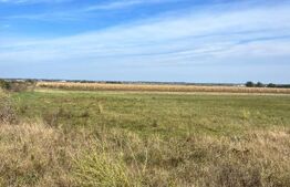 Teren de vânzare Sud Vest - 138665TV | BLITZ Suceava | Poza5