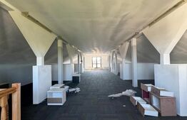 Spatiu comercial de inchiriat, Dornesti