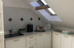 Garsoniera, 38 mp utii, zona Clinica Nord