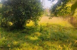 Casa renovabila/demolabila+ teren 891 mp, Radauti