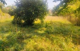 Casa renovabila/demolabila+ teren 891 mp, Radauti