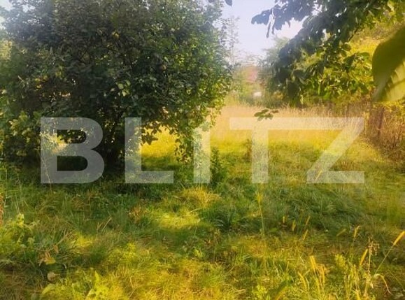 Casa de vânzare 2 camere Radauti - 159239CV | BLITZ Suceava | Poza6