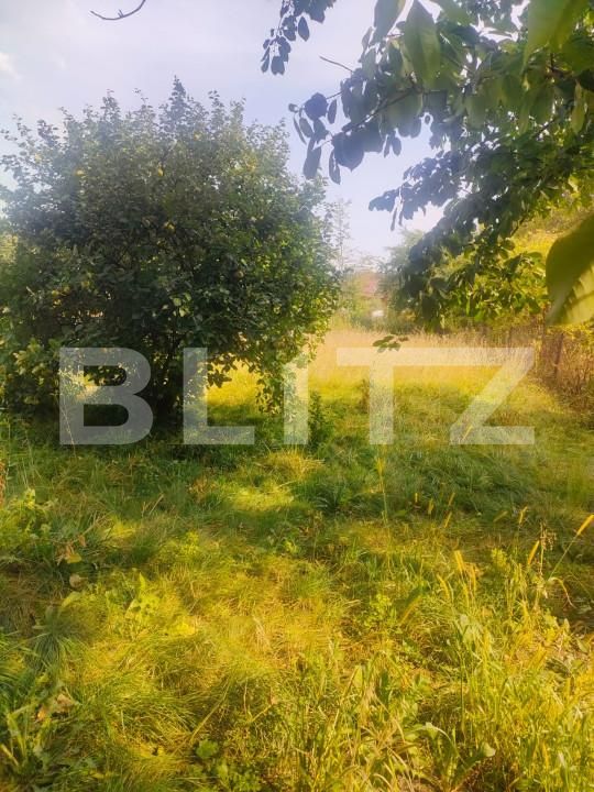 Casa de vânzare 2 camere Radauti - 159239CV | BLITZ Suceava | Poza6