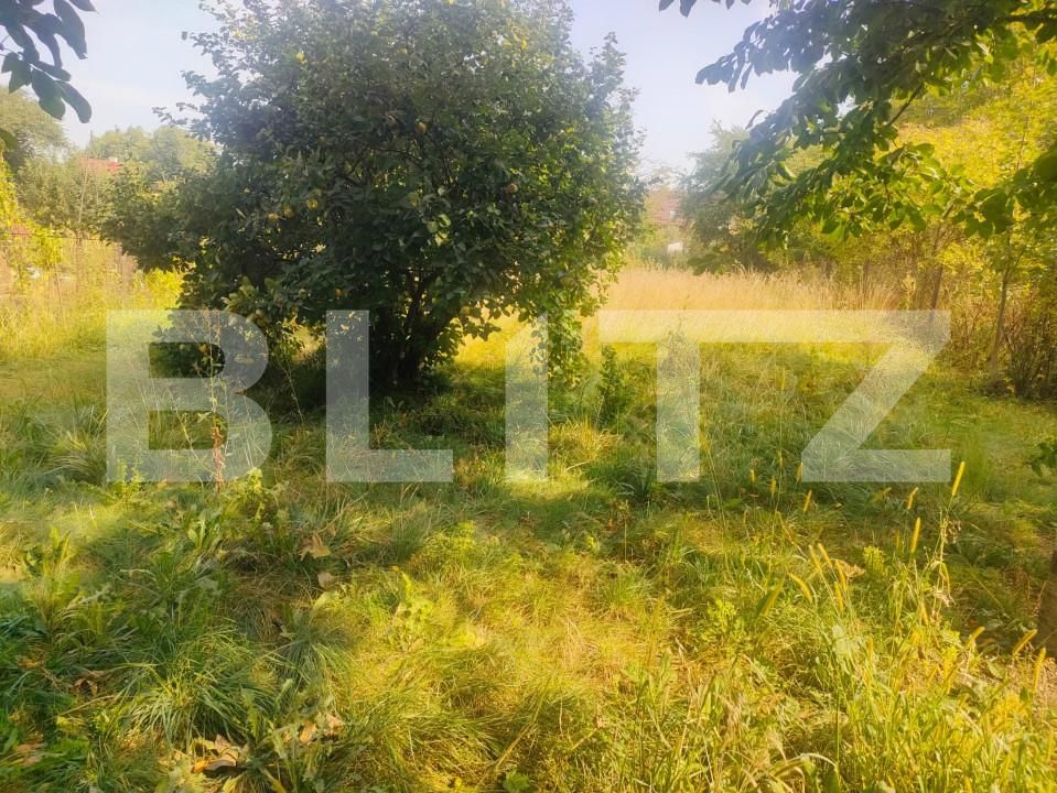 Casa de vânzare 2 camere Radauti - 159239CV | BLITZ Suceava | Poza7