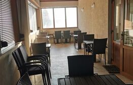 Afacere la cheie,cofetarie,pizzerie,fast food, Udesti 