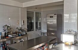 Afacere la cheie,cofetarie,pizzerie,fast food, Udesti 