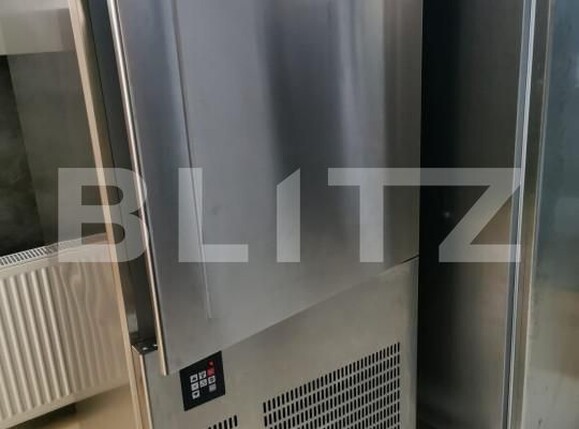 Spațiu industrial de vânzare Udesti - 159266SVI | BLITZ Suceava | Poza14