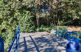 Casa 105mp, Teren investitie de 343mp, George Enescu