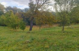 Casa demolabila + teren 6600 mp, Negostina, Siret