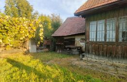 Casa demolabila + teren 6600 mp, Negostina, Siret