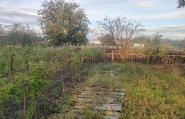 Casa demolabila + teren 6600 mp, Negostina, Siret