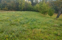 Casa demolabila + teren 6600 mp, Negostina, Siret