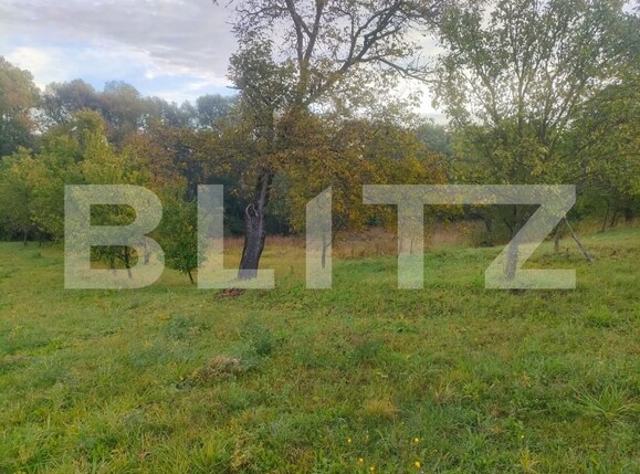 Casa de vânzare 3 camere Negostina - 159444CV | BLITZ Suceava | Poza5