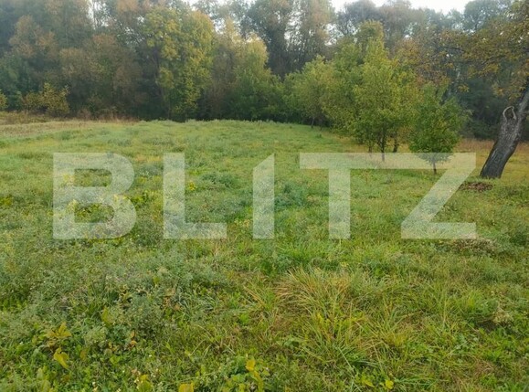 Casa de vânzare 3 camere Negostina - 159444CV | BLITZ Suceava | Poza4