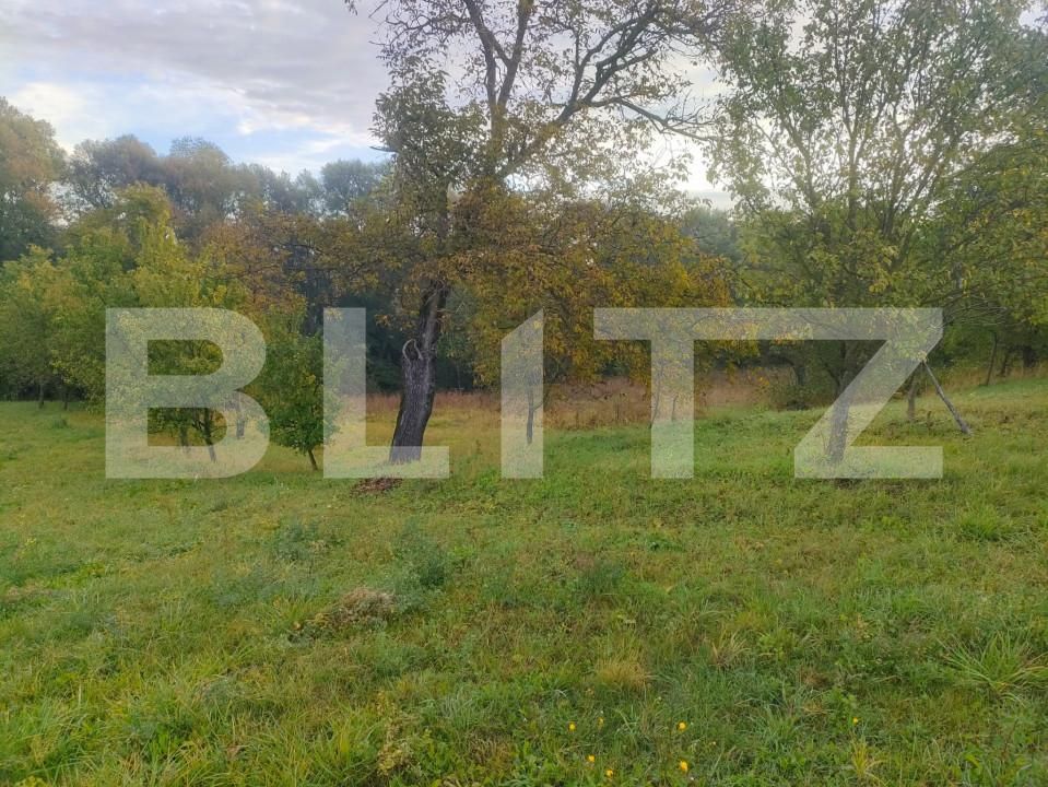 Casa de vânzare 3 camere Negostina - 159444CV | BLITZ Suceava | Poza5