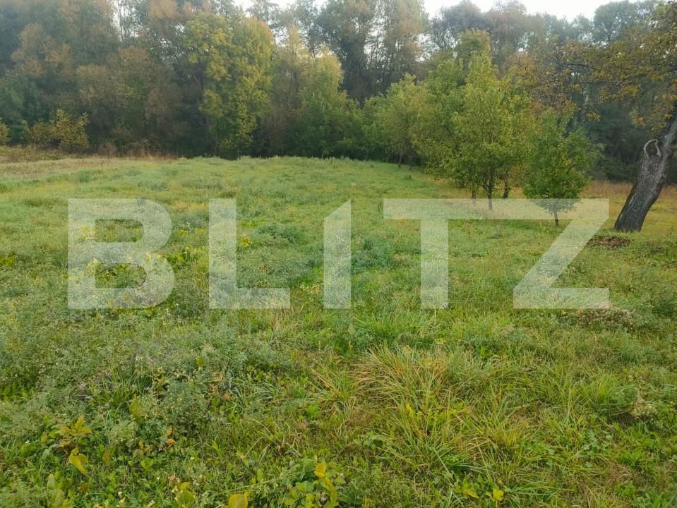 Casa de vânzare 3 camere Negostina - 159444CV | BLITZ Suceava | Poza4