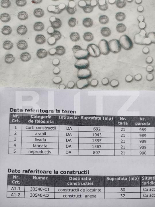 Casa de vânzare 3 camere Negostina - 159444CV | BLITZ Suceava | Poza9