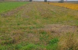 Teren extravilan 2600 mp, Calea Cernauti, Radauti