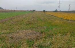 Teren extravilan 2600 mp, Calea Cernauti, Radauti