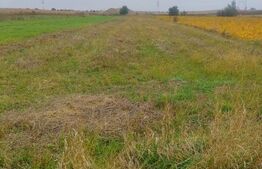 Teren extravilan 2600 mp, Calea Cernauti, Radauti