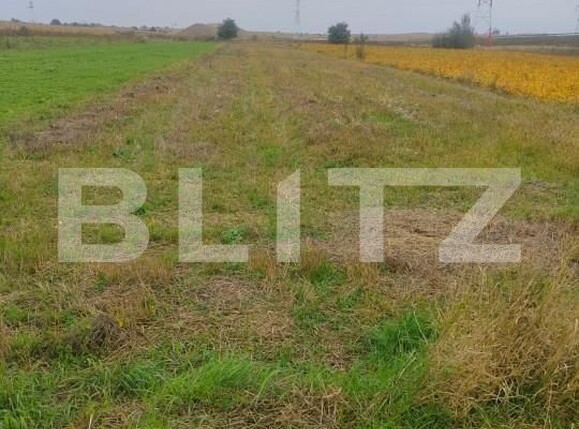Teren de vânzare Radauti - 159482TV | BLITZ Suceava | Poza1