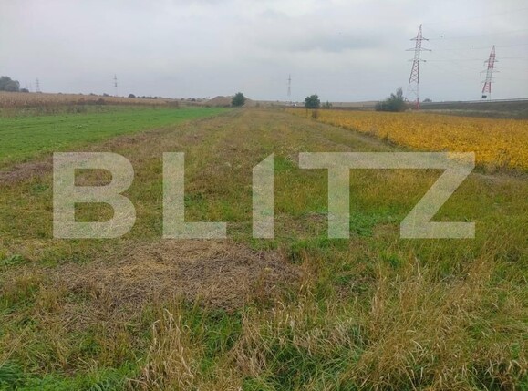 Teren de vânzare Radauti - 159482TV | BLITZ Suceava | Poza1