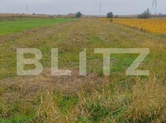 Teren de vânzare Radauti - 159482TV | BLITZ Suceava | Poza3