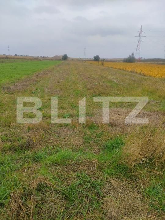 Teren de vânzare Radauti - 159482TV | BLITZ Suceava | Poza2