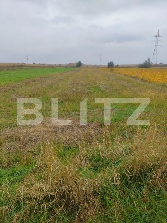 Teren de vânzare Radauti - 159482TV | BLITZ Suceava | Poza3