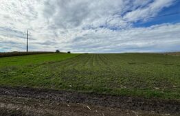 Ocazie!Teren intravilan, 4120 mp, front 19 ml, zona Ipotesti  