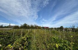 Teren intravilan, livada mixta cu anexa, Preutesti Suceava 