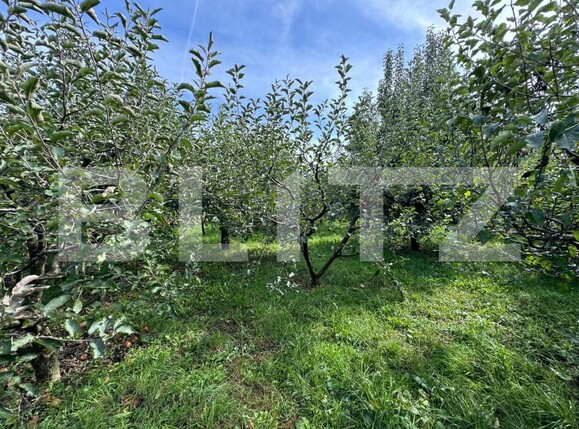 Teren de vânzare Sud - 159570TV | BLITZ Suceava | Poza2