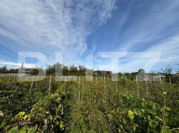 Teren de vânzare Sud - 159570TV | BLITZ Suceava | Poza1