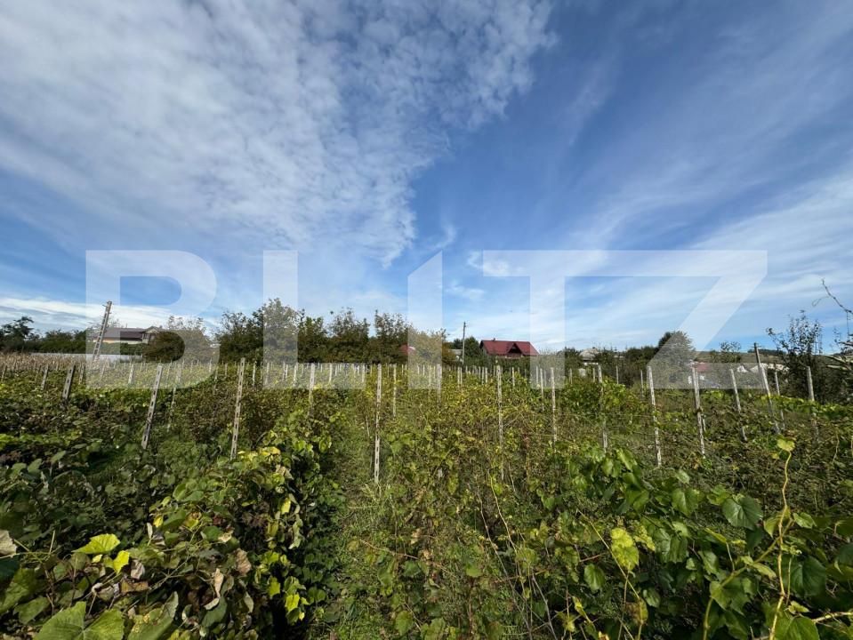 Teren de vânzare Sud - 159570TV | BLITZ Suceava | Poza1