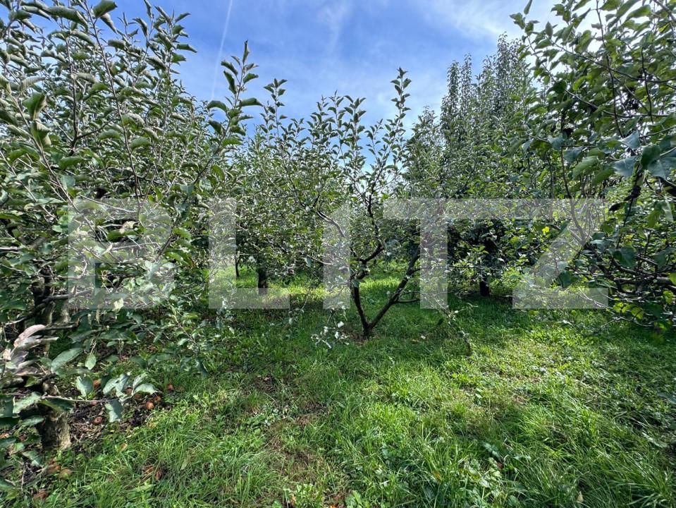 Teren de vânzare Sud - 159570TV | BLITZ Suceava | Poza2