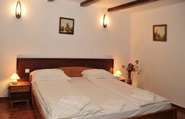 Ofertă unică: pensiune și teren generos de 16000 mp în  Vatra Dornei