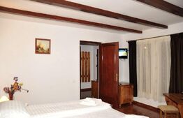 Ofertă unică: pensiune și teren generos de 16000 mp în  Vatra Dornei