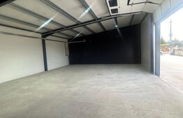 Spatiu comercial/industrial, 427 mp, zona Scheia