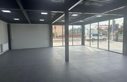 Spatiu comercial/industrial, 427 mp, zona Scheia