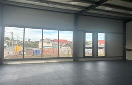 Spatiu comercial/industrial, 427 mp, zona Scheia