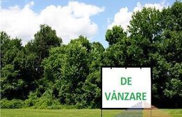  Teren intravilan,  12.200mp, zona Francei. (2 parcele-se vand si separat)